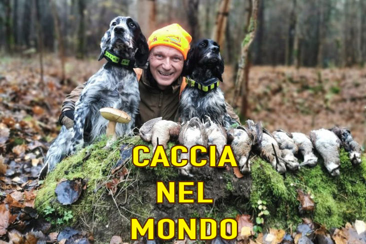 caccia nel mondo caccia al daino in serbia