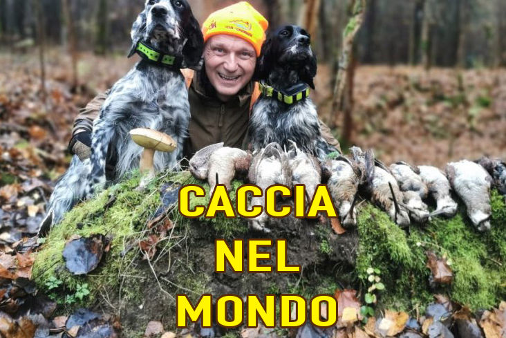caccia nel mondo caccia al capriolo in slovacchia