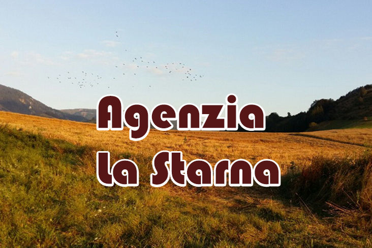 la starna caccia al cervo in serbia