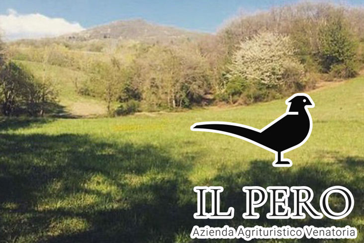 Il pero caccia al Cinghiale in toscana